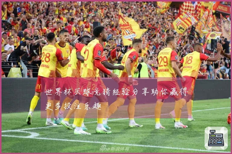 世界杯买球竞猜经验分享助你赢得更多投注乐趣