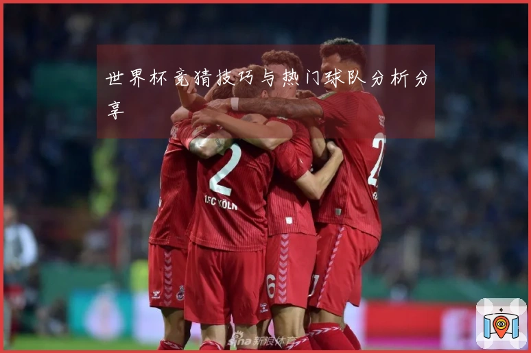 世界杯竞猜技巧与热门球队分析分享