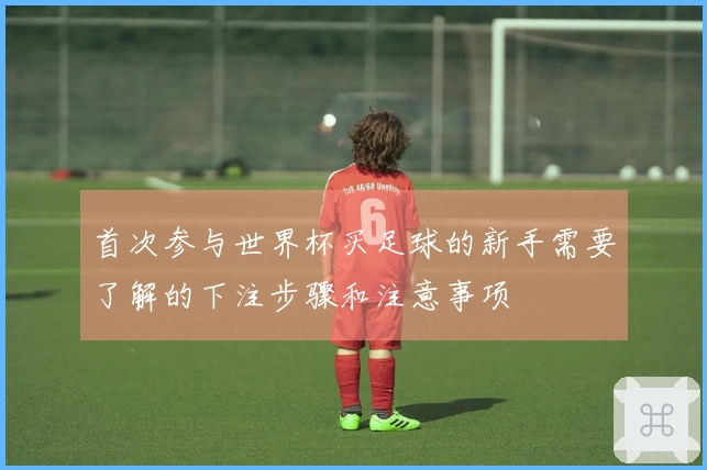 首次参与世界杯买足球的新手需要了解的下注步骤和注意事项
