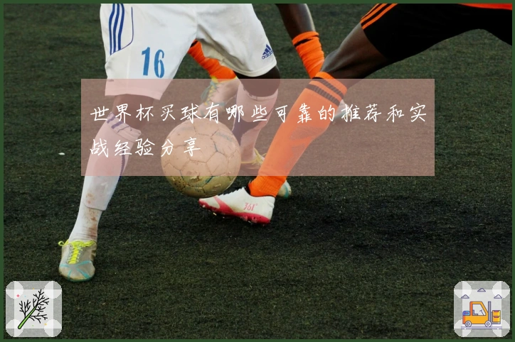 世界杯买球有哪些可靠的推荐和实战经验分享